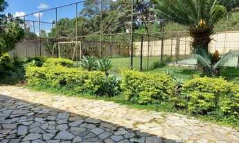 Imagem 3: Espetacular Sítio 4.000 metros todo murado