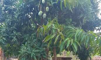 Imagem 6: Vendo chácara em Campus Elísios