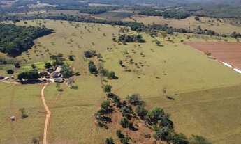 Imagem 4: Fazenda de 65 alqueires em Pirenópolis-GO
