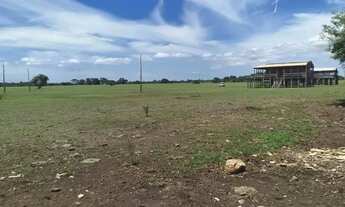 Imagem 6: Vendo terreno no pantanal Baía Siá Mariana