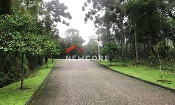 Imagem 7: Lote em Rua do Sossego - Vila Dante - Canela/RS