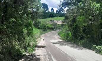 Imagem 3: VENDE-SE OU TROCO CHÁCARA EM MANTIRITUBA POR CASA EM PIRAQUARA-PR