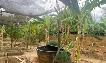 Imagem 5: SÍTIO À VENDA - PORTEIRA FECHADA Localização: Saída para Pirapora, a apenas 10 minutos de