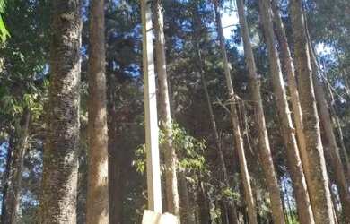 Imagem 4: Chácara com 1 dormitório à venda, 52000 m² por R$ 2.000.000,00 - Cachoeira - São José dos