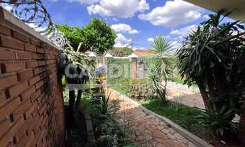 Imagem 2: Casa de 514m² com 03 quartos sendo 01 suítes disponível para locação - Vila Monte Alegre