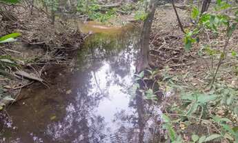 Imagem 6: Chácara de 20.000m² no Pipiripau 2 - Passa Rio nos Fundos