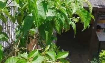 Imagem 6: Terreno 10x45 Terreno / lote com venda por R$1.250.000