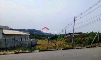 Imagem 3: Lote em Rodovia - Vista Alegre - Biritiba Mirim/SP