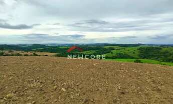 Imagem: Sítio em Rua Saldanha Marinho - Centro
