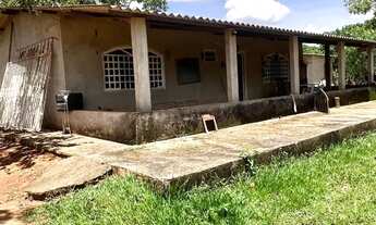 Imagem 7: Rancho frutífero no Monjolo