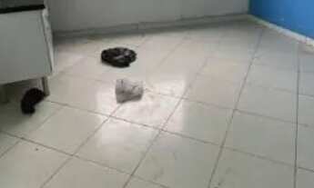 Imagem 3: Casa a venda Casa com 3 dormitórios