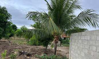 Imagem 6: Chácara Chácara com venda por R$100.000