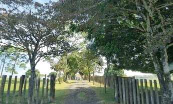 Imagem 5: Sítio com 5 dormitórios à venda, 309000 m² - Morro do Alto - Itapetininga/SP