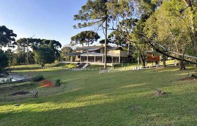 Imagem 6: Imóvel para venda com 60000 metros quadrados com 4 quartos em Serrinha - Contenda - PR