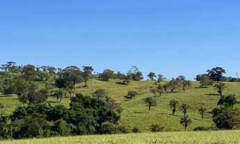 Imagem 2: Fazenda Modelo 310 Alqueires de Cultura