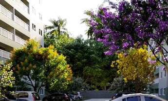 Imagem 2: MINHA CASA MINHA VIDA & MORAR BEM - Nossa Senhora do Ó - Paulista - PE