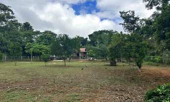 Imagem 7: Chácara na região da comunidade de Varginha próximo da cidade de Chapada dos Gui