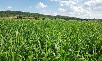 Imagem 4: Fazendinha Formada /Qualidade e Estrutura/Permuta Por Imovel Urbano