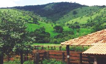 Imagem 2: Fazenda para Venda em Barro Alto, Zona Rural