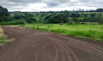 Imagem: Araraquara - Terreno Padrao - Jardim Universal