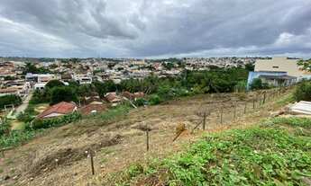Imagem 6: Lote escriturado, com área de 438,00 m2 - Bairro Municipal I