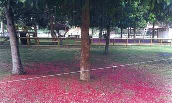 Imagem 3: Chácara à venda, 27180 m² em Praia Grande - Fundão/ES