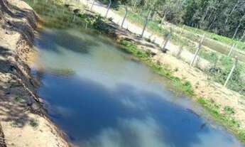 Imagem 3: Chacará formada com 32.000 m²- Areia Branca/ Mandirituba