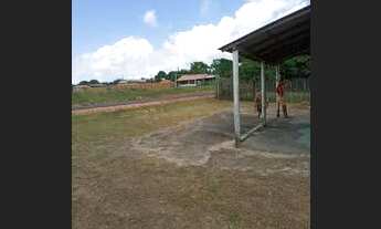 Imagem 7: Vendo Um Terreno Beiramar e outro com ponto comercial