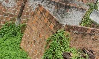 Imagem 3: Vendo terreno já repartido com paredes levantadas