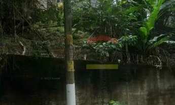 Imagem: TERRENO BEM GRANDE JARDIM IBIRATIBA