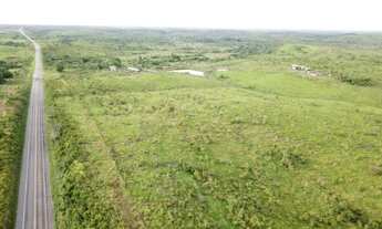 Imagem: 1539 alqueires no asfalto fada pra gado