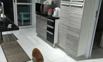 Imagem 4: APARTAMENTO - MORUMBI - SP