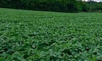 Imagem: Chácara em Cascavel