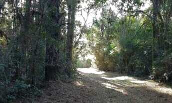 Imagem 7: SÍTIO À VENDA NO POLENGHI / MACHADINHO - ANGATUBA/SP