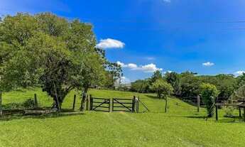 Imagem 2: Chácara Comercial/Residencial para Venda no Campo Alto em Tijucas Do Sul, 278846.62m²