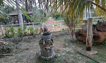 Imagem 2: Aluguel Temporada