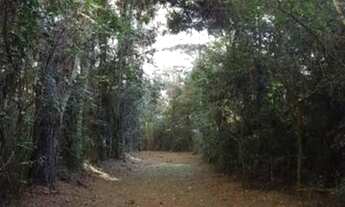 Imagem 4: SÍTIO À VENDA NO POLENGHI / MACHADINHO - ANGATUBA/SP