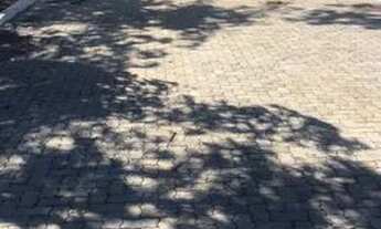 Imagem 2: Vendo chalé 2 quartos jd botânico só 160 mil