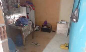 Imagem 2: Porto Dantas loteamento coqueiral