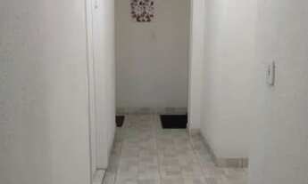 Imagem 5: Kit praca da arvore