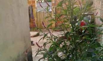 Imagem 5: Vende-se uma casa no conde