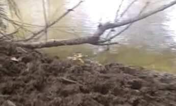 Imagem 7: Fazenda Sitio Roça Chacara Alqueire Venda Tocantins Setor Região Cidade