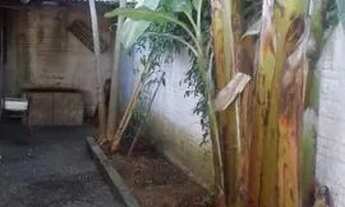 Imagem 5: Alugo casa na praia do sonho Palhoça