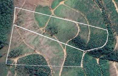 Imagem 3: Terrenos em Domingos Martins