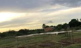 Imagem: Terreno manteiga