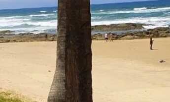 Imagem 3: RESERVA SAUÍPE Lote em condomínio Alto Padrão a venda com 450 m2 em Costa do Sauípe Mata