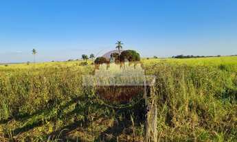 Imagem 4: Fazenda à venda na região de Jales com 220 alqueires