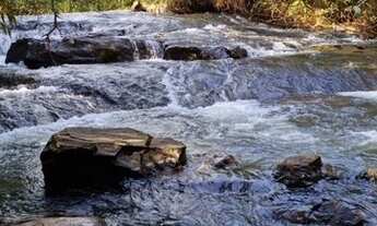 Imagem 4: Fazenda de 77 alqueires em Mairipotaba - GO