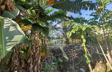 Imagem 2: Terreno-À VENDA-Jardim Campomar-Rio das Ostras-RJ