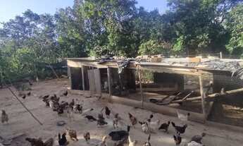 Imagem 4: Sítio de 2.000M² com Casa e Ótima Localização em Juatuba - MG